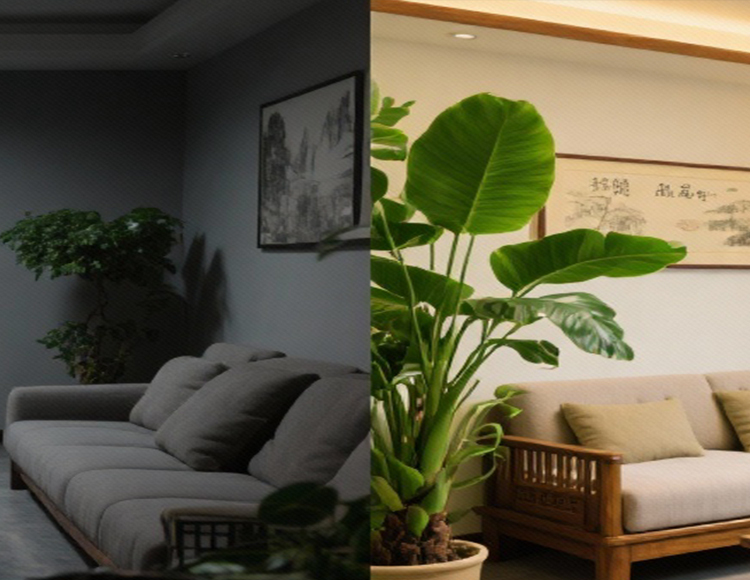 您的空间环境，是聚宝盆还是漏财局？